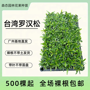 ̨���_�h����Y�P�����Ի����҃��^�~ֲ���̨�^�p��V�ݷN��Gֲ