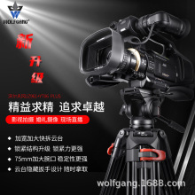 WOLFGANG/֠ JZ961+YT06 PLUSzC_DV_