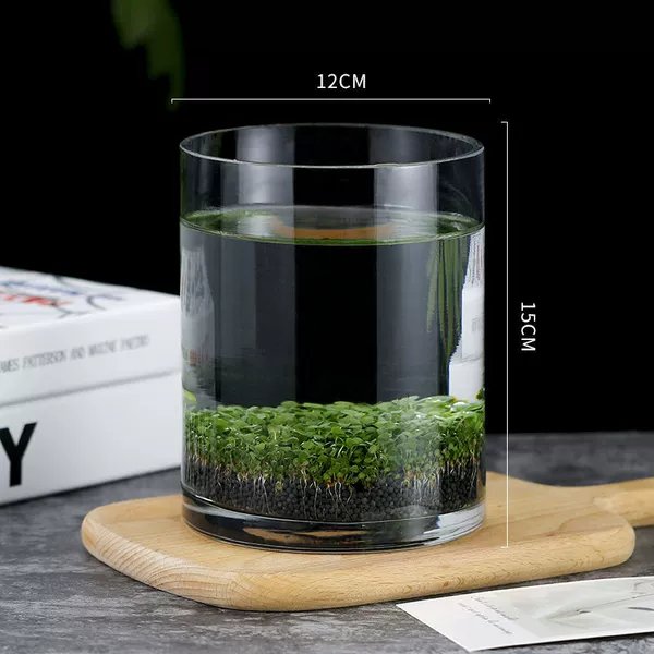 Circular bottle [12*15] Payment of mud+seed+watering pot