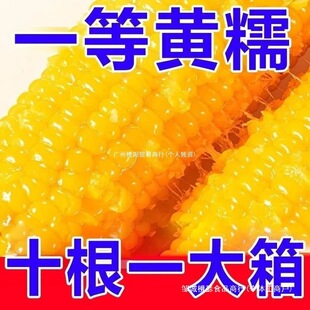 �|���SŴ������հ��b��Ŵ���װ��������׼�ʳճ���״���ػ�����