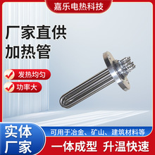 廠家供應加熱器電熱管發生器電加熱導熱油加熱管