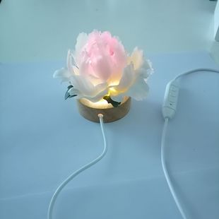Private mode 5V dimming USB touch controller power line switch module 3-color LED stepless color fill light night light