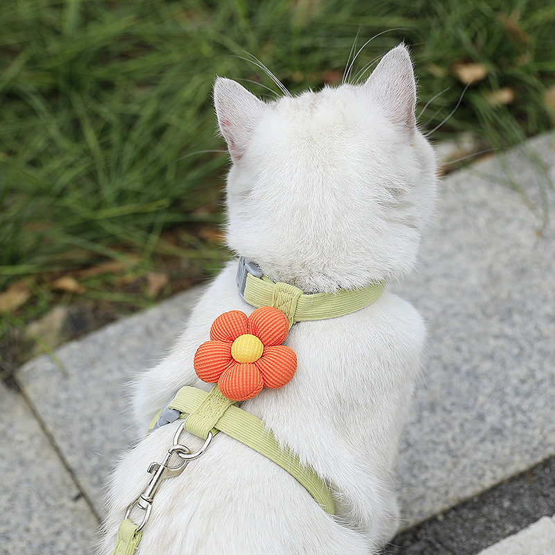 I字型猫ハーネス、ラグドールテディ、小型犬、猫の外出用ロープ、脱走防止、調節可能な牽引ロープ|undefined