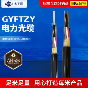 ��̫ƽ��GYFTZY 48о������|���w���| ��ˮ��ȼ�ӽgʽ���|