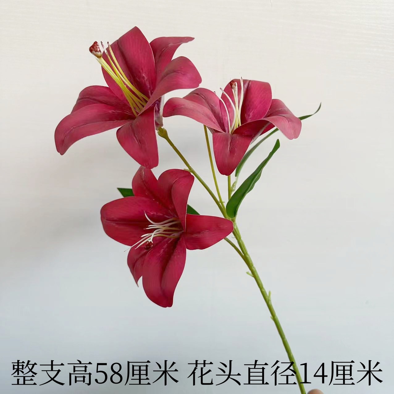Lily