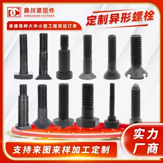 定制加工非标异型螺栓厂家热打冷镦定做螺钉特大加长异形不锈钢