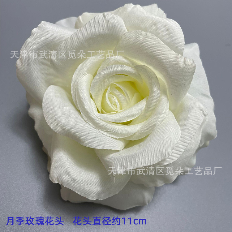 장미 장미