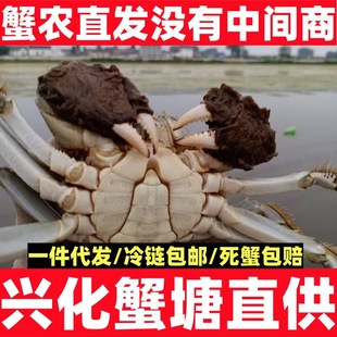 �d����Ʒзԭ�a��ֱ�l�зԴ�^������ȫ���������˷����L�ڹ���