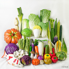 �����߲˼�ˮ��ģ����߃�ͯʳ���Ĕz�[����е��ߘӰ巿�b���