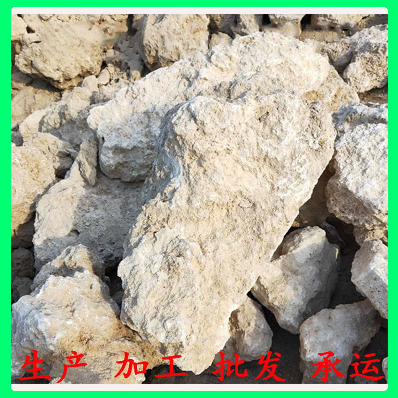 厂家供应多孔上水石吸水石上水石假山原石多肉苔藓景观吸水石原石