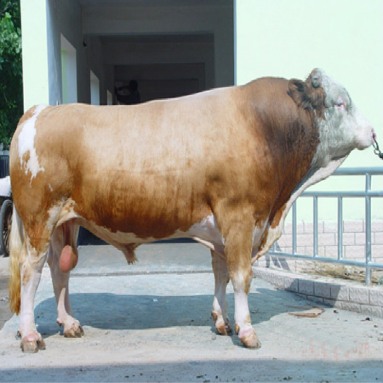 20130328040228_meitu_30