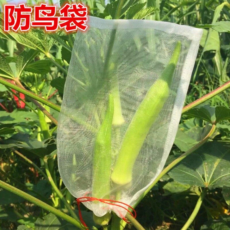 Bird proof bag Insect protect Fruit Bagging Anti mesh bag Seed Soaking Bag Nylon strainer