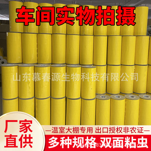 Double-sided seedling stick insect belt greenhouse waterproof insect trap belt yellow green agricultural fruit and vegetable insect trap tape