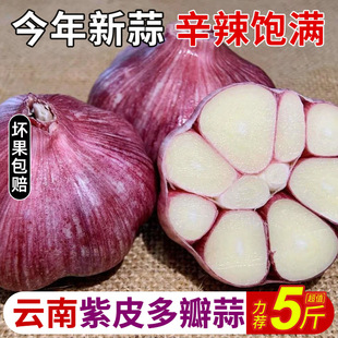 2025�����������Ƥ�ش����r����3������^�F���r��5���۴���t��