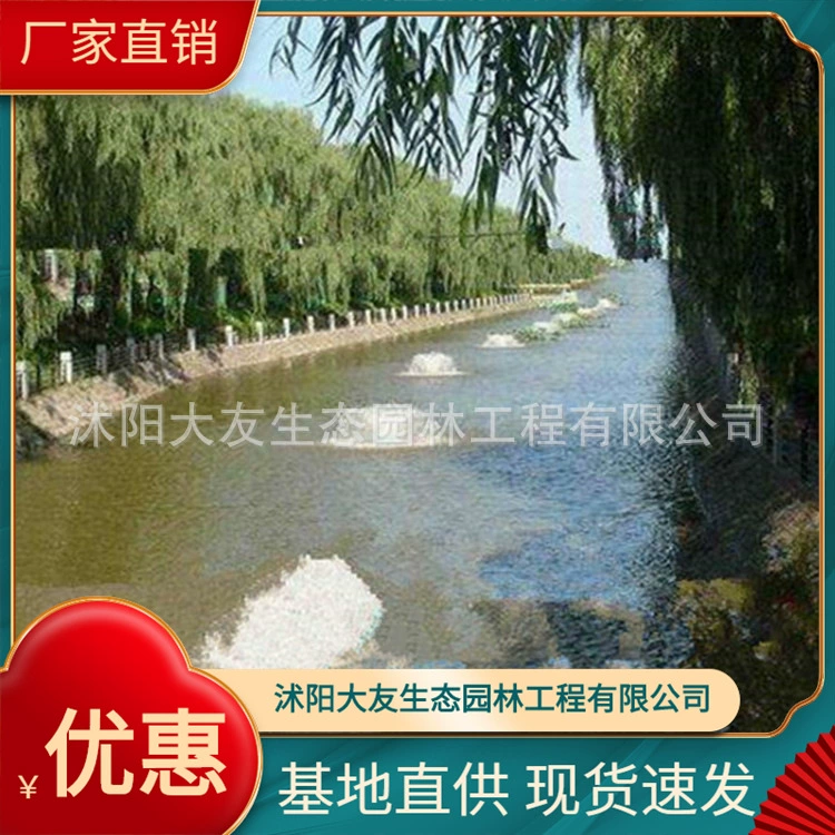 Аэратор заводской прямой Поплавковый фонтан для дайвинга Jet Roots воздуходувка аэратор