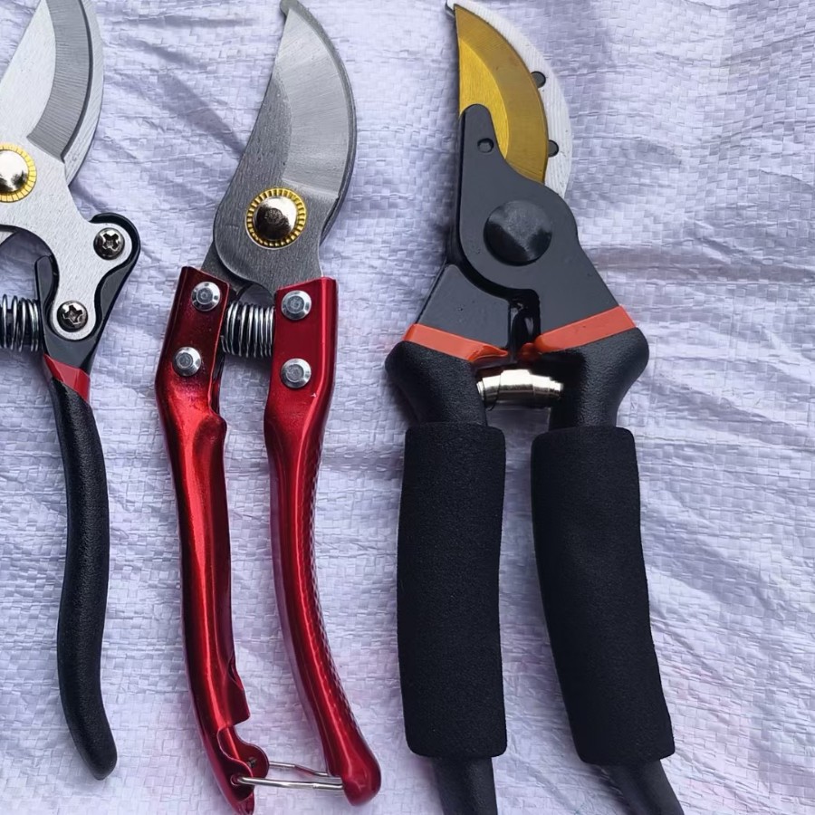 2024-12-08 20:43:18.jpg