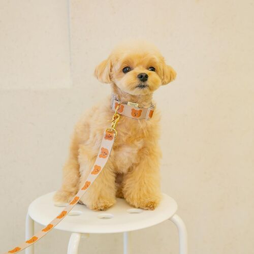 ins new Korean dog pet bear cute traction soft and durable can be picked up toilet bag traction rope dog walking