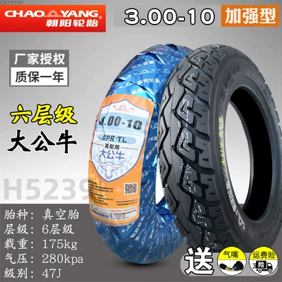 Outer Tire 14X3.2 Battery Vehicle | Non-industrial tires - 300-10-chaoyang-six-layer-big-bull-tubeless-tire-h5239