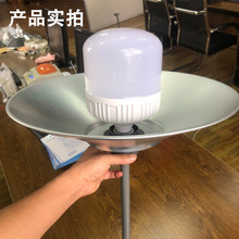 VledIL赸S܇gS}֠ڟ⚤