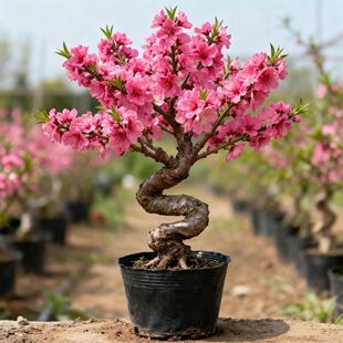 �ͺ��͸ߜ؉������̨�b��҃������^�_���Y��