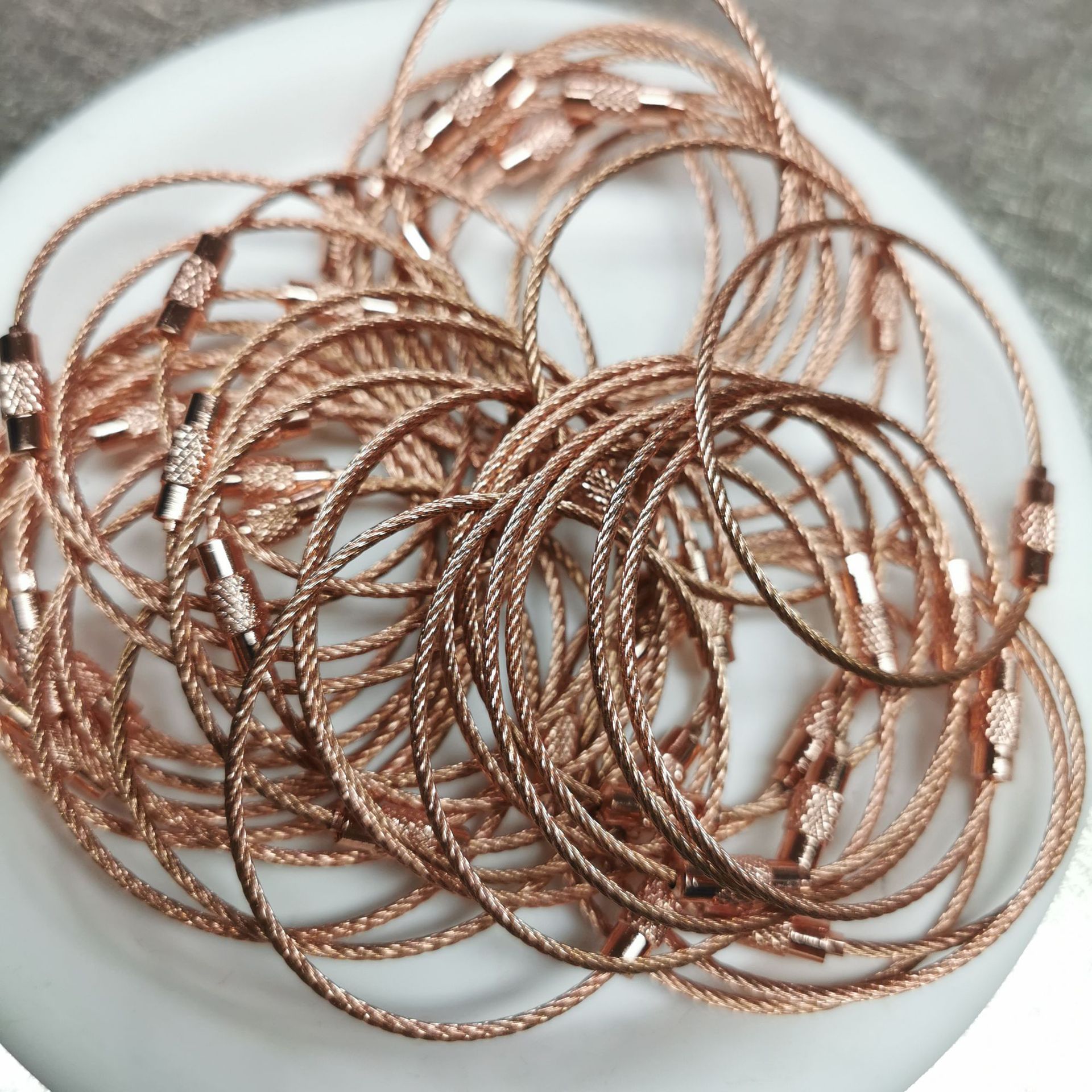 25 色メーカー卸売キャンディーカラーキーホルダーカラーペイントワイヤーロープ DIY タグ漫画キーストラップ