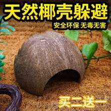 仓鼠窝椰子壳躲避屋造景别墅小房子金丝熊刺猬龙猫荷兰猪玩具用品