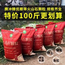 天然火山石颗粒云南腾冲火山岩兰花多肉铺面石颗粒营养土鱼垒德株