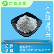 类人胶原蛋白 98% 重组人源胶原蛋白三型 胶原蛋白冻干粉