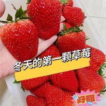 ���ڵ��|�žŲ�ݮ���r�t�ݮ����ЋD�o����ˮ�����r������ˮ��