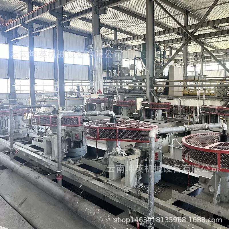 定制选矿浮选设备 有色金属尾矿富集设备 选矿设备浮选工艺生产线