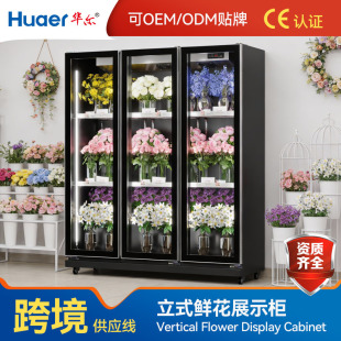 �A�����_�T�r�����L����ؙ����ÏS���䙙����չʾ���r�����r��