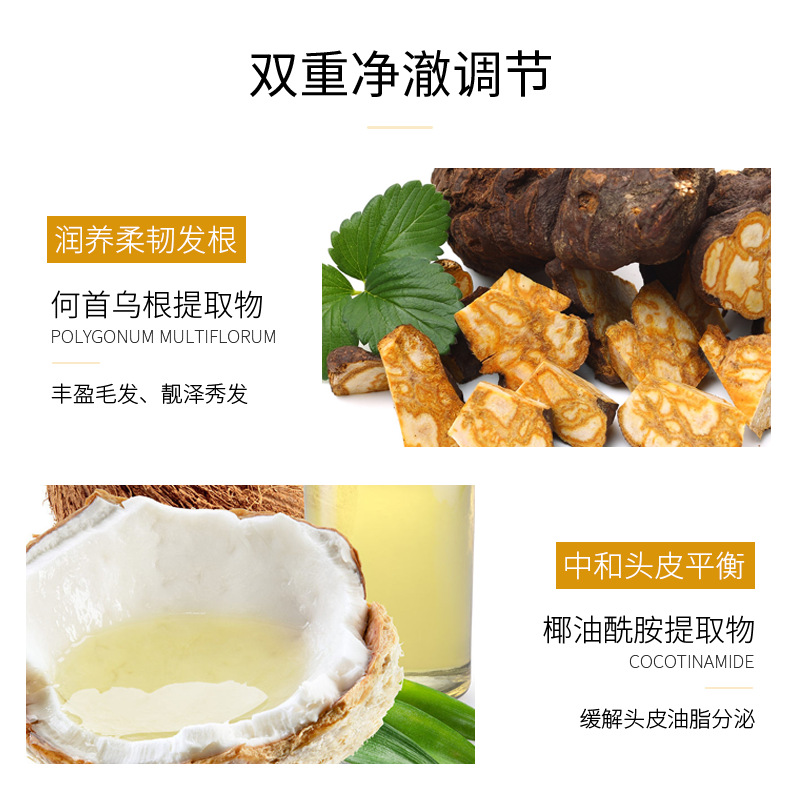 廠家供應生薑汁精油控油修護洗髮水去屑滋養洗髮露洗頭膏750ml