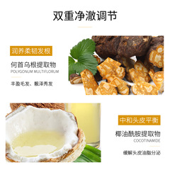 廠家供應生薑汁精油控油修護洗髮水去屑滋養洗髮露洗頭膏750ml