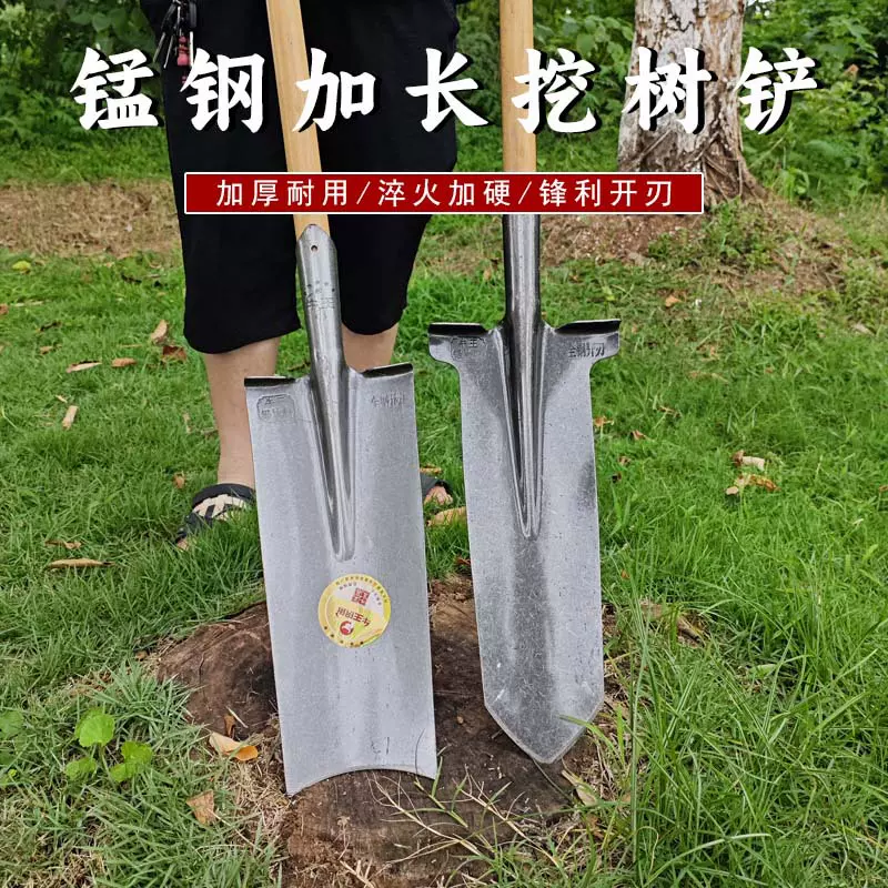 松土挖树铲工地尖铲批发方锹锰钢加厚挖树专用工具铁锹窄口山药锹
