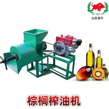 棕榈果榨油机小型电动棕榈仁压油机柴油机带螺旋棕榈植物油压榨机