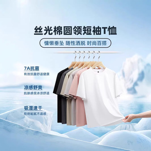 �z������ʿt����2026�ļ���ɫ�ٴ����������e�A�I�����ж�������