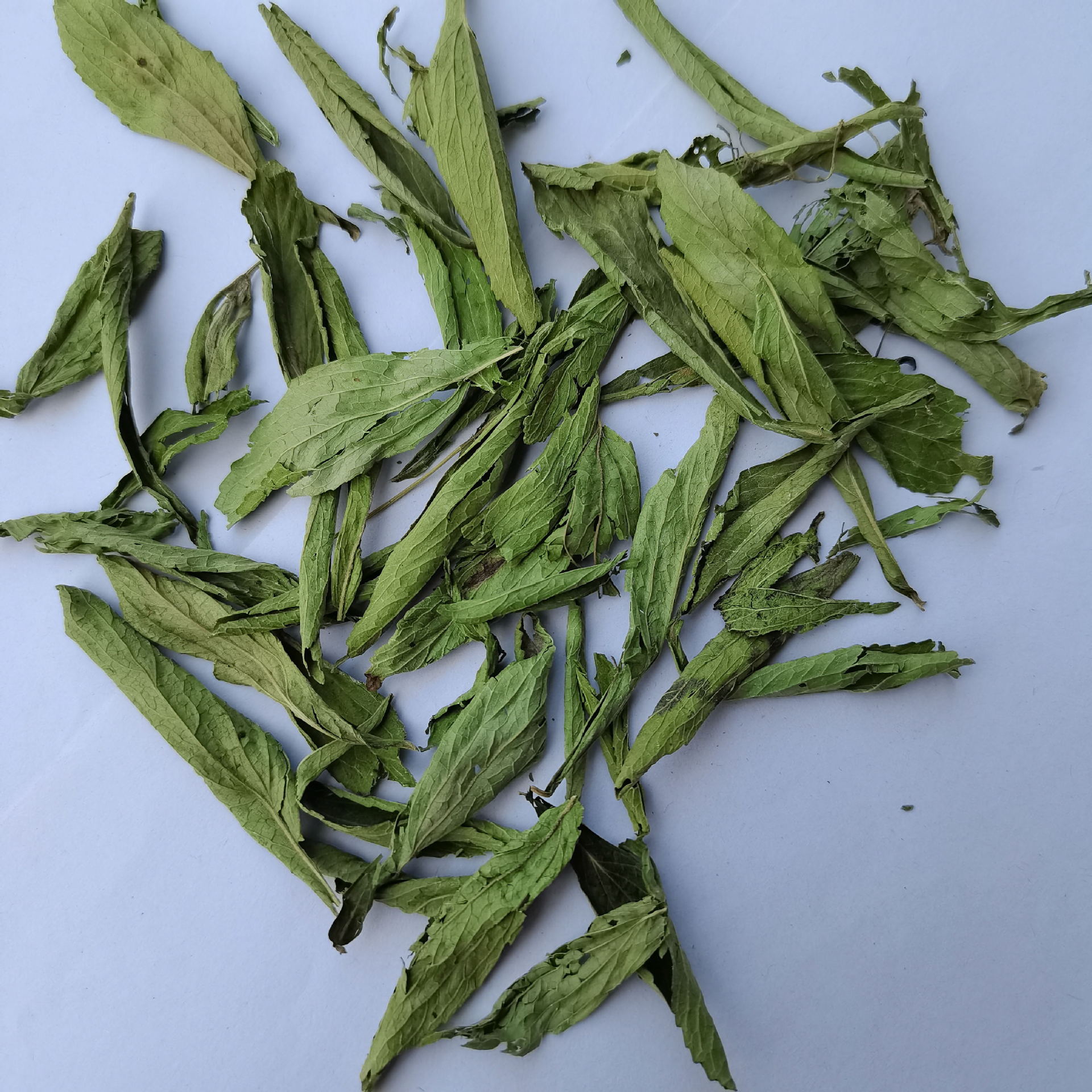 Wholesale supply of stevia leaf sugar substitute, new herbal medicine stevia leaves, also available are flowers, tea leaves.