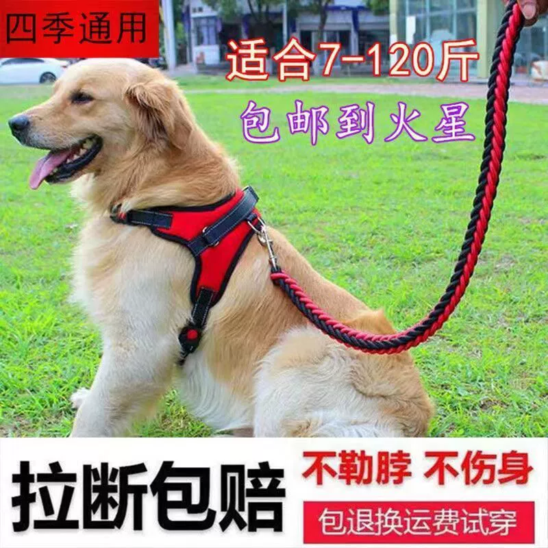 Поводок для собаки, цепочка для собаки золотистого ретривера, сиамская шлейка для средних и крупных собак, веревка для выгула собак Тедди Корги