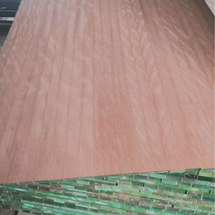 �S�����l�W������Ľ�z�t̴����ľ��ľľ�ϳ��ڼ�ԭľ��ľ��