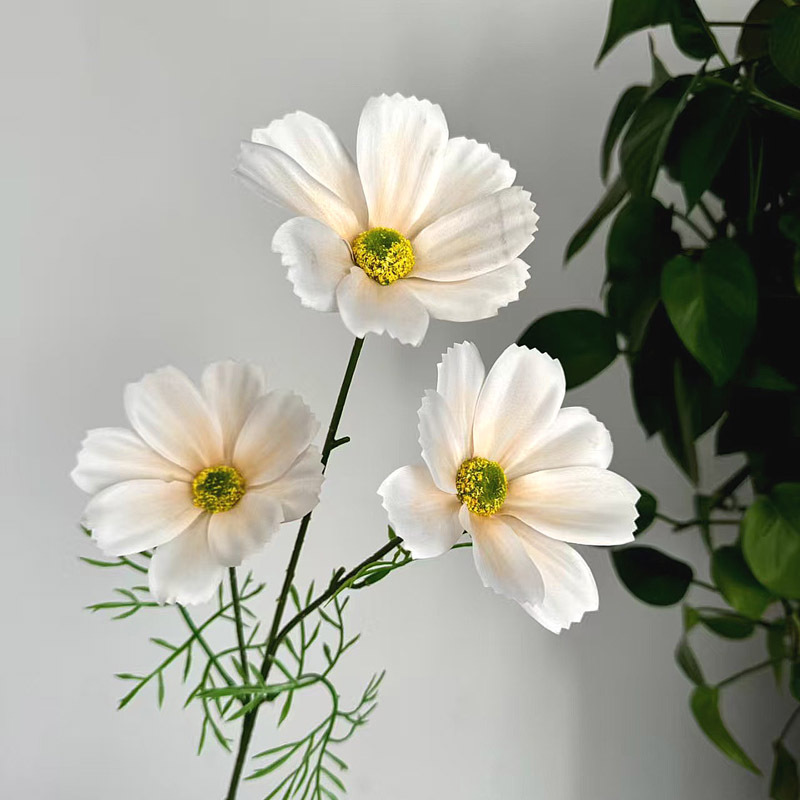 샴페인