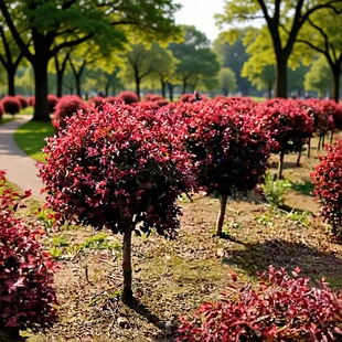 �ͺ���֦�t�~���� ���֦��֦�t�~�� �������~��G�h�� ��������