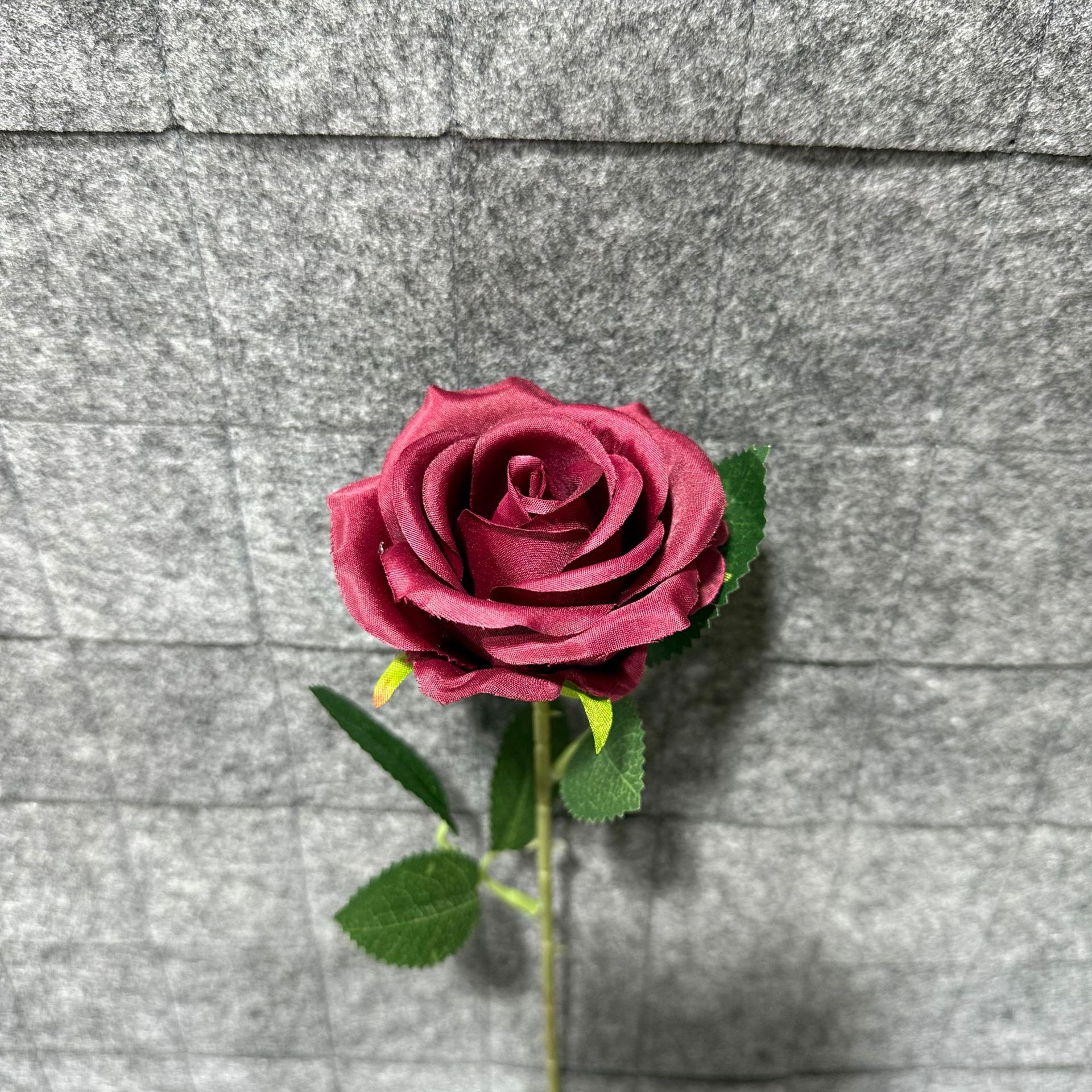 와인 레드