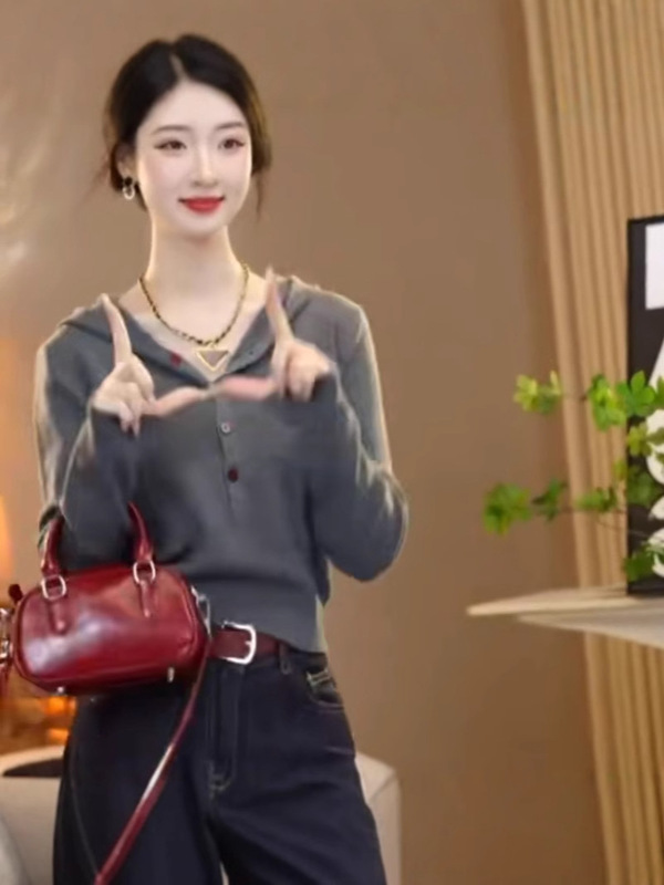 欧货设计感小众简约连帽毛衣女秋季2025新款百搭时尚洋气针织上衣|undefined