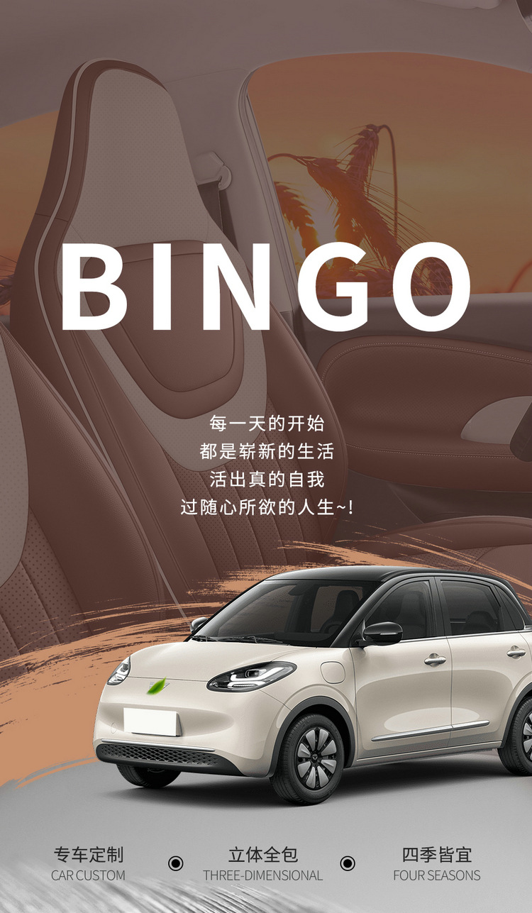 2023 new Wuling Binguo special seat cover four seasons universal full surround car seat cushion cartoon full leather seat cover