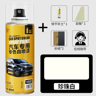 Car paint automatic painting: Avtomobil boya qələmləri - general-pearl-white-single-bottle-free-full-set-of-tools