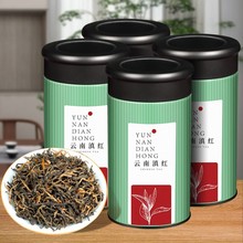 tPcttͲ~tᘹŘt2023²