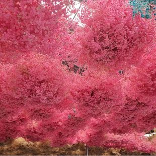 ��������M���� �M���Ǹɻ����l �����M�������l �M���Ǵ������l