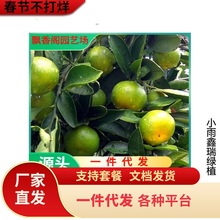 ɰ�ǽۘ��� �޽������� ���ڽ���ɰ�ǽ����� �ĕ�ɰ�ǽ� ����Y��