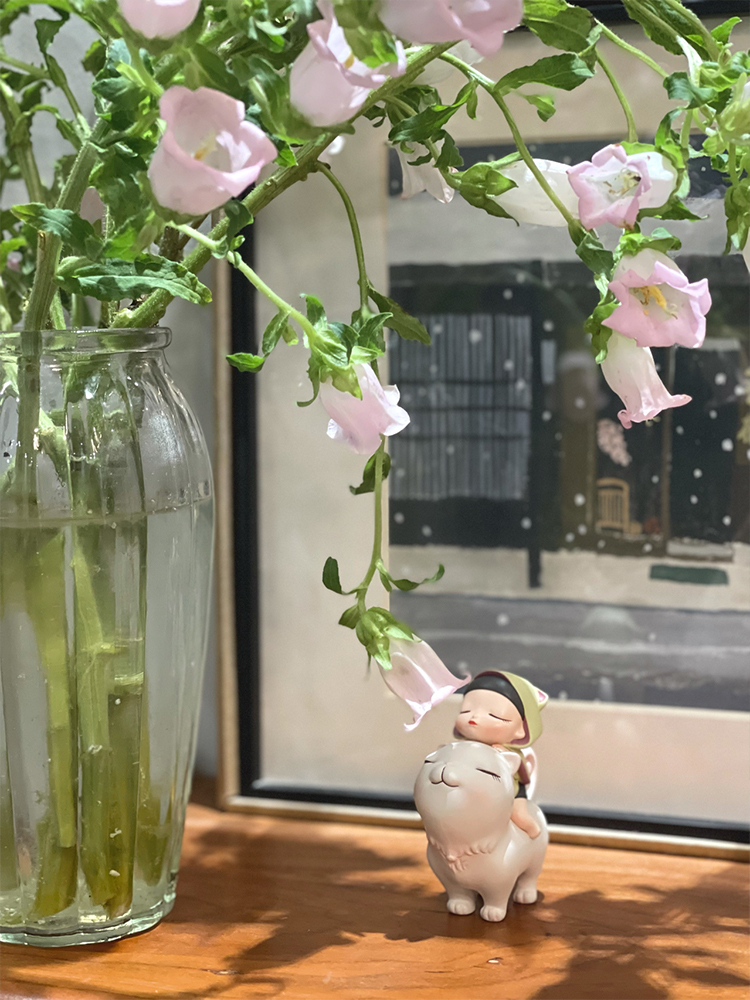 Campanula flower bell flower family life fresh cut flowers Kunming base direct delivery SF Express free shipping 5