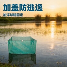 ����ϩ�W�������W��W���B�~���~��W��ˮ�a�Bֳ���w�Ӵ־W��